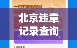 北京违章记录查询（北京违章记录查询app）