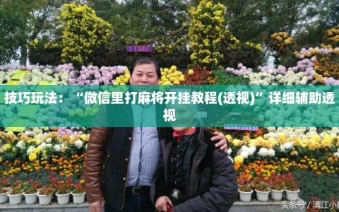 技巧玩法：“微信里打麻将开挂教程(透视)”详细辅助透视