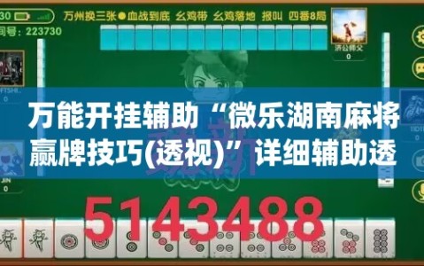 万能开挂辅助“微乐湖南麻将赢牌技巧(透视)”详细辅助透视