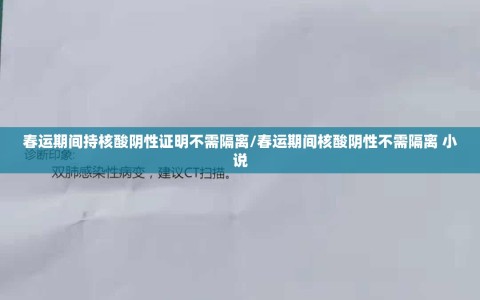 春运期间持核酸阴性证明不需隔离/春运期间核酸阴性不需隔离 小说