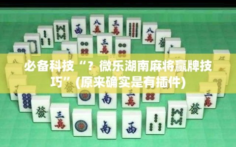 必备科技“？微乐湖南麻将赢牌技巧”(原来确实是有插件)