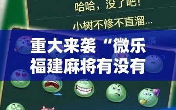 重大来袭“微乐福建麻将有没有挂”掌握辅助功能必胜规则