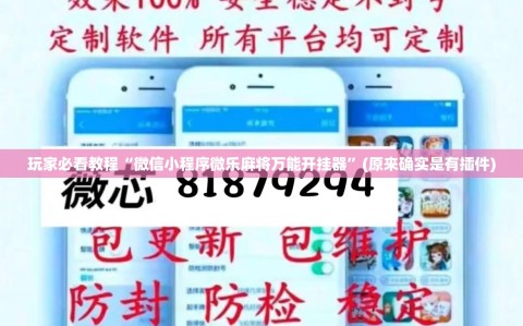 玩家必看教程“微信小程序微乐麻将万能开挂器”(原来确实是有插件)