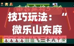 技巧玩法：“微乐山东麻将真有挂么”(原来确实是有插件)