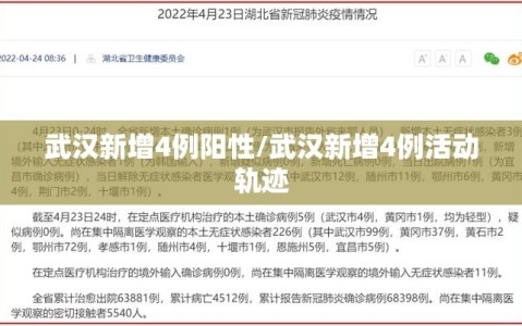 武汉新增4例阳性/武汉新增4例活动轨迹