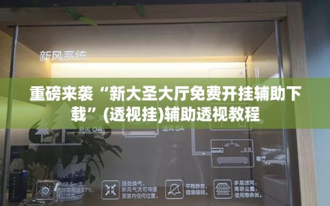 重磅来袭“新大圣大厅免费开挂辅助下载”(透视挂)辅助透视教程