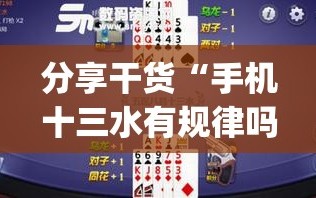 分享干货“手机十三水有规律吗”(原来确实是有插件)