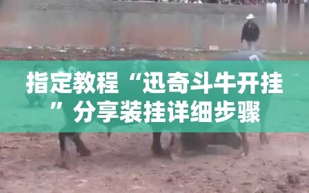 指定教程“迅奇斗牛开挂”分享装挂详细步骤