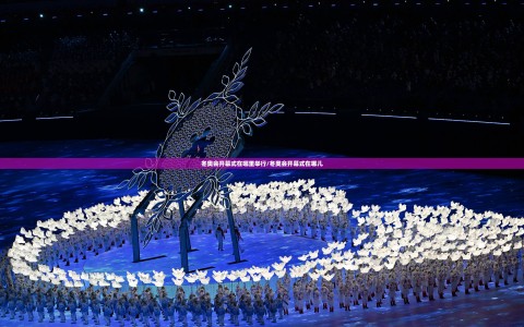 冬奥会开幕式在哪里举行/冬奥会开幕式在哪儿