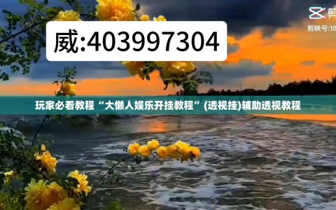 玩家必看教程“大懒人娱乐开挂教程”(透视挂)辅助透视教程