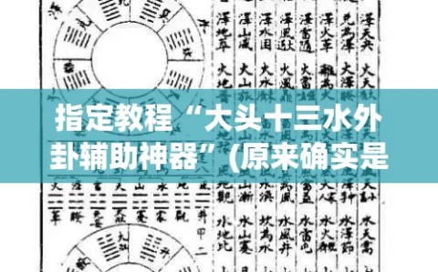 指定教程“大头十三水外卦辅助神器”(原来确实是有插件)