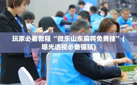 玩家必看教程“微乐山东麻将免费挂”(曝光透视必备猫腻)