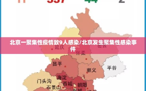 北京一聚集性疫情致9人感染/北京发生聚集性感染事件