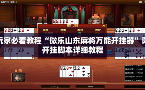 玩家必看教程“微乐山东麻将万能开挂器”附开挂脚本详细教程