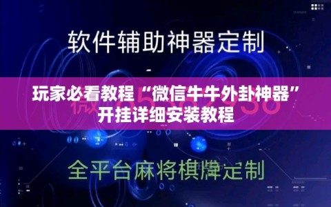 玩家必看教程“微信牛牛外卦神器”开挂详细安装教程
