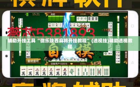 辅助开挂工具“微乐陕西麻将开挂教程”(透视挂)辅助透视教程