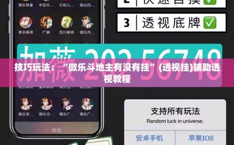 技巧玩法：“微乐斗地主有没有挂”(透视挂)辅助透视教程
