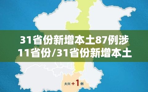 31省份新增本土87例涉11省份/31省份新增本土确诊62例