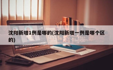 沈阳新增1例是哪的(沈阳新增一例是哪个区的)