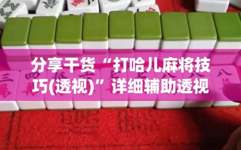 分享干货“打哈儿麻将技巧(透视)”详细辅助透视
