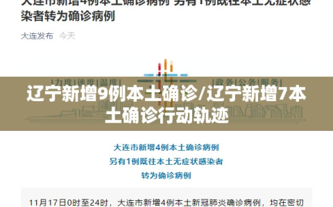 辽宁新增9例本土确诊/辽宁新增7本土确诊行动轨迹