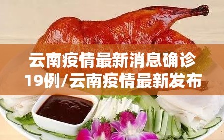 云南疫情最新消息确诊19例/云南疫情最新发布