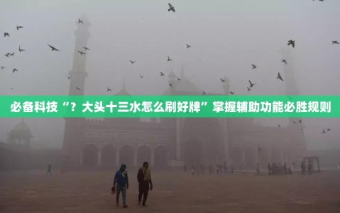 必备科技“？大头十三水怎么刷好牌”掌握辅助功能必胜规则