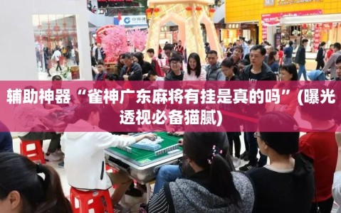 辅助神器“雀神广东麻将有挂是真的吗”(曝光透视必备猫腻)