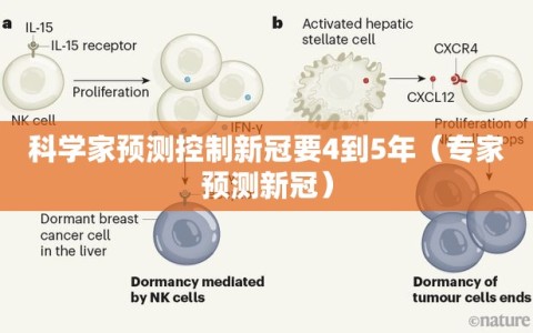 科学家预测控制新冠要4到5年（专家预测新冠）