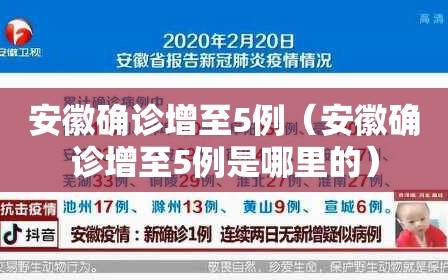 安徽确诊增至5例（安徽确诊增至5例是哪里的）