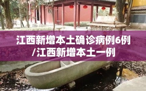 江西新增本土确诊病例6例/江西新增本土一例