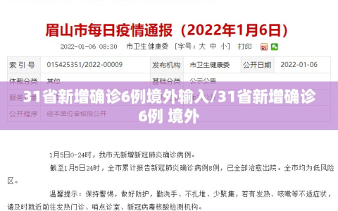 31省新增确诊6例境外输入/31省新增确诊6例 境外