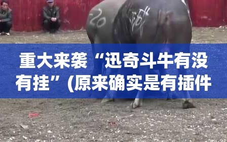 重大来袭“迅奇斗牛有没有挂”(原来确实是有插件)