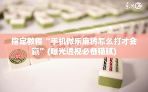 指定教程“手机微乐麻将怎么打才会赢”(曝光透视必备猫腻)