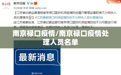 南京禄口疫情/南京禄口疫情处理人员名单