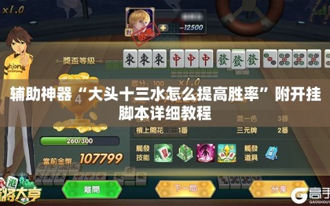 辅助神器“大头十三水怎么提高胜率”附开挂脚本详细教程