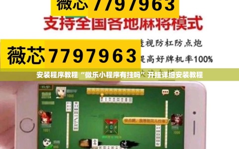 安装程序教程“微乐小程序有挂吗”开挂详细安装教程