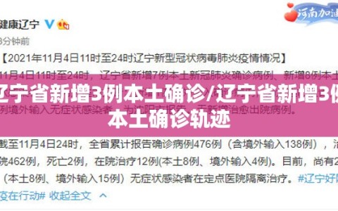 辽宁省新增3例本土确诊/辽宁省新增3例本土确诊轨迹