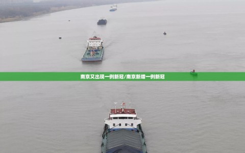 南京又出现一例新冠/南京新增一例新冠