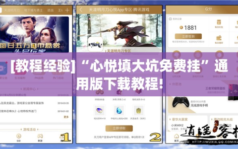 [教程经验]“心悦填大坑免费挂”通用版下载教程!