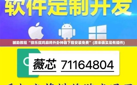 辅助教程“微乐捉鸡麻将外卦神器下载安装免费”(原来确实是有插件)