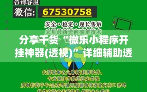 分享干货“微乐小程序开挂神器(透视)”详细辅助透视
