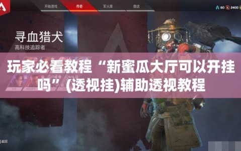 玩家必看教程“新蜜瓜大厅可以开挂吗”(透视挂)辅助透视教程