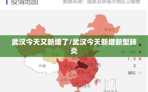 武汉今天又新增了/武汉今天新增新型肺炎