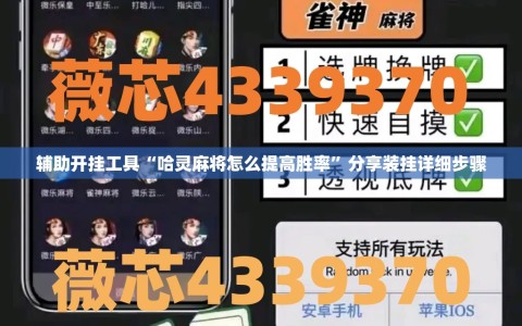 辅助开挂工具“哈灵麻将怎么提高胜率”分享装挂详细步骤