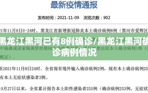 黑龙江黑河已有8例确诊/黑龙江黑河确诊病例情况