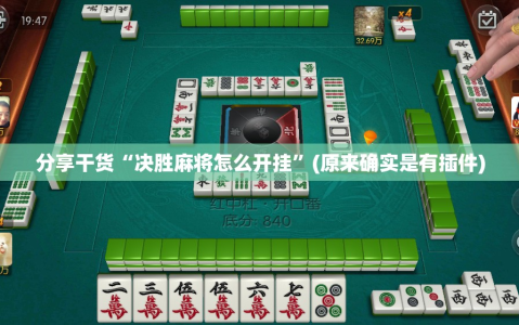 分享干货“决胜麻将怎么开挂”(原来确实是有插件)