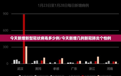 今天新增新型冠状病毒多少例/今天新增几例新冠肺炎个怕例