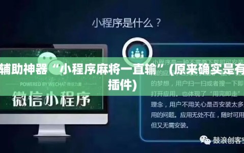 辅助神器“小程序麻将一直输”(原来确实是有插件)
