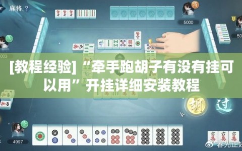 [教程经验]“牵手跑胡子有没有挂可以用”开挂详细安装教程
